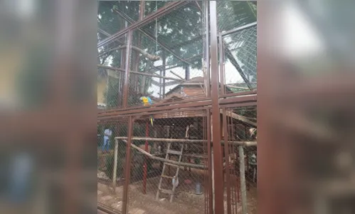 
							Polícia Ambiental aplica multa de R$73 mil em Arapongas; Vídeo
						
						