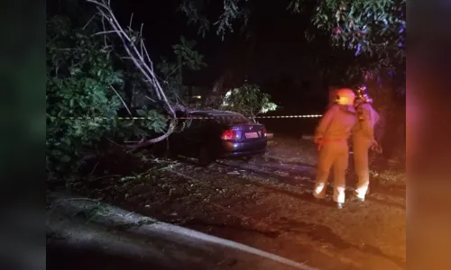 
						
							Árvore cai em cima de carros em Apucarana; vídeo
						
						
