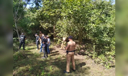 
						
							Corpo é encontrado na zona rural de Apucarana; veja
						
						