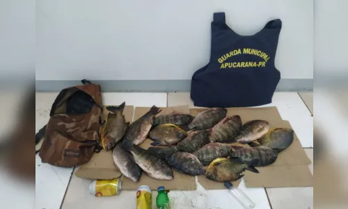 
							Dois homens são presos por pesca ilegal em Apucarana; veja
						
						