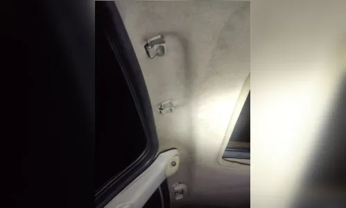 
							Jovem cai de veículo em movimento e morre atropelado na BR-376
						
						