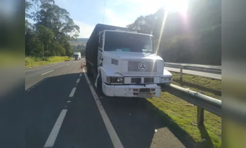 
							Caminhão carregado de bois sai da pista na BR 376
						
						