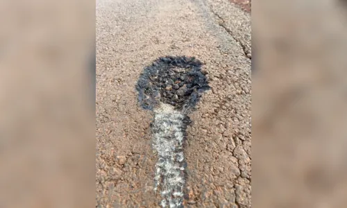 
							Pavimentação destruída em Faxinal gera prejuízo ao município
						
						