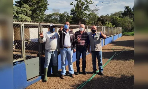 
							Presidente da Câmara acompanha trabalhos do Canil Municipal
						
						