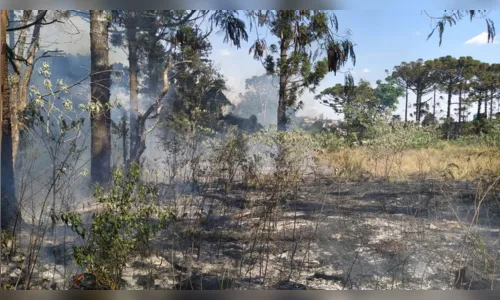 
						
							Princípio de incêndio invade área de araucárias em Apucarana
						
						