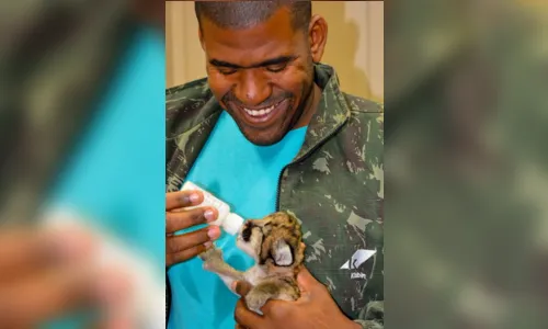 
							Puma resgatada de incêndio é transferida para zoológico
						
						