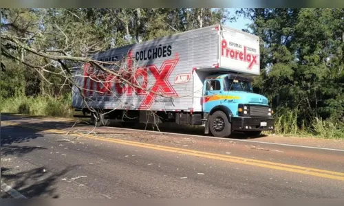 
							Galho quebrado compromete trânsito no Contorno Norte
						
						