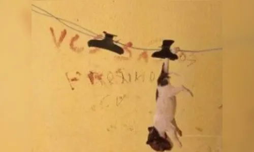 
							Homem mata cães e escreve em muro com sangue dos animais
						
						