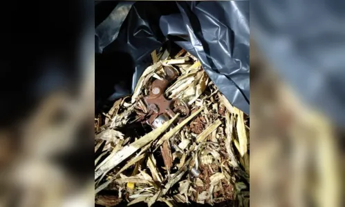 
							Homens morrem durante confronto com a PM no Paraná
						
						