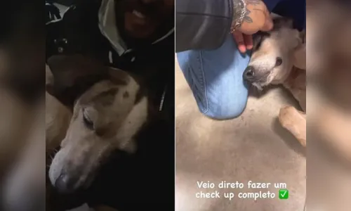 
							Lucas Lucco adota cachorro abandonado em posto de gasolina
						
						