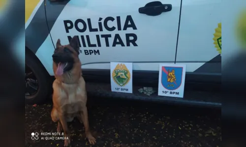 
							Rocam prende traficante em Apucarana e apreende maconha
						
						