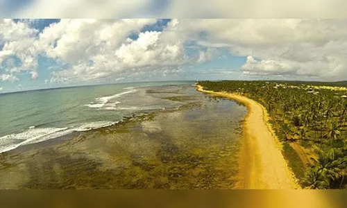 
							Investimento Imobiliário no Litoral Praia do Forte, Bahia
						
						