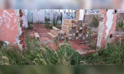 
							Mais de mil lâmpadas são localizadas em terreno de Apucarana
						
						