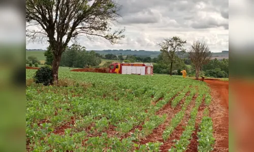 
						
							Casal é atacado por enxame de abelhas em Ivaiporã
						
						