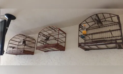 
							Pai que fumava maconha na frente dos filhos é preso
						
						