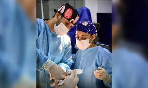 
							Veteriário Ivan Gregorio viaja o país para atender animais
						
						