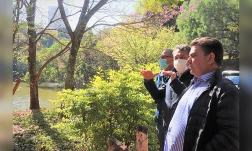 
							Arapongas recebe o programa 'Poliniza Paraná'
						
						