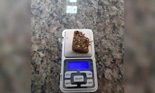 
							Polícia Civil prende jovem com relógio furtado em Apucarana
						
						