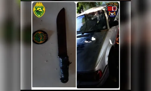 
							Homem que atropelou e esfaqueou vítima é preso em Arapongas
						
						