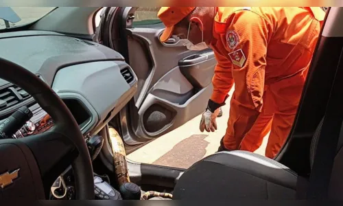 
							Jiboia é encontrada dentro de viatura da Polícia Civil
						
						