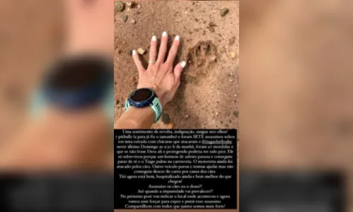 
							Homem sofre mais de 50 mordidas após ser atacado por pitbulls
						
						