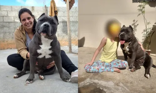 
							SP: cadela foge de casa e é baleada no meio da rua
						
						
