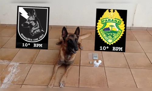 
							Traficante é denunciado pelo tio e preso em Jandaia do Sul
						
						