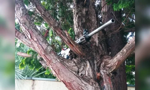 
						
							Assaltantes abandonam arma de alto calibre em árvore no PR
						
						