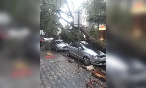 
							Caixa d'água de prédio cai durante temporal em Maringá
						
						