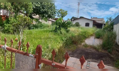 
						
							Mato alto de terreno em Apucarana preocupa vizinhos
						
						