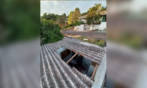 
							Vaca assusta família após cair do telhado de casa no PR
						
						