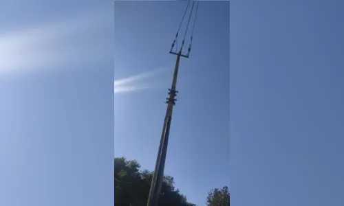 
							Cabos de energia são furtados de empresa em Apucarana
						
						