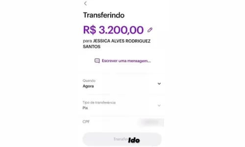 
							‘Transfer-Ido’: empresária denuncia golpe no PIX e viraliza
						
						
