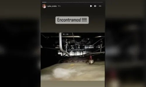 
							Moradora encontra cobra que estava desaparecida em bairro de SP
						
						