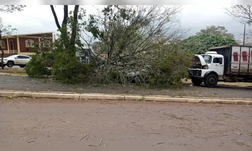 
							Árvore cai sobre veículo em Ivaiporã nesta sexta-feira (17)
						
						