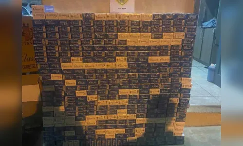 
							PM apreende 627 quilos de maconha em Manoel Ribas
						
						