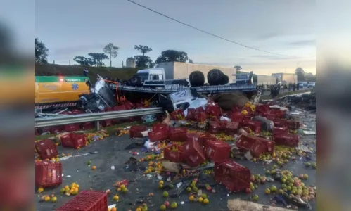 
							Batida entre caminhões carregados com frutas mata três pessoas no PR
						
						