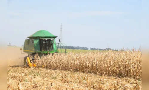 
						
							Faturamento do agro chega a R$ 7,6 bilhões na região
						
						