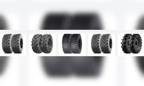 
						
							6 dicas sobre pneus agrícolas para tomar a melhor decisão na compra
						
						