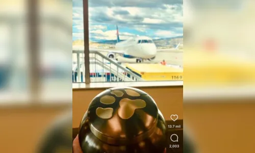 
							Após dois meses, cinzas de cão Shurastey chegam ao Brasil
						
						