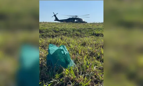 
							Polícia Federal apreende 75 kg de cocaína arremessados de avião no PR
						
						