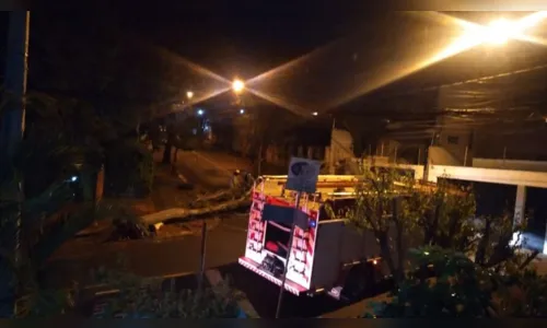 
							Árvore cai em cruzamento no centro de Apucarana
						
						