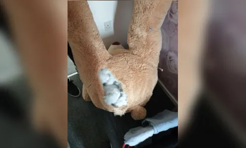 
						
							Ladrão é encontrado dentro de urso de pelúcia gigante; entenda
						
						