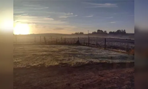 
							Apucarana registra manhã mais fria do ano, aponta Simepar
						
						