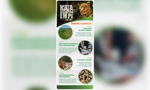 
							MP/PR coordena Operação Mata Atlântica em Pé em 17 estados
						
						