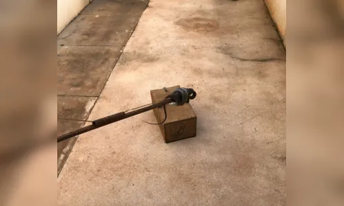 
							Morador leva susto ao encontrar cobra de 1,5 metro no quintal de casa
						
						