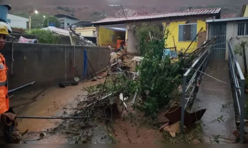 
							Municípios registram temporais com granizo; idoso morre durante chuva
						
						