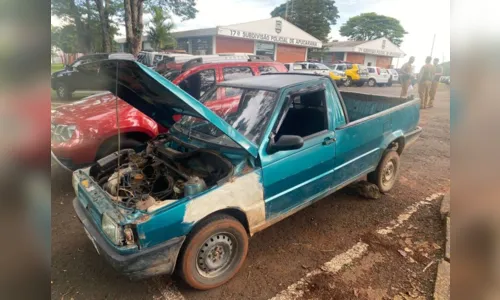 
							Após recuperar carro furtado, PM apreende pé de maconha em Apucarana
						
						