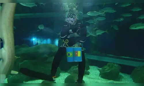 
							Tubarão do AquaRio, Ritinha, 'prevê' vitória do Brasil contra Camarões
						
						