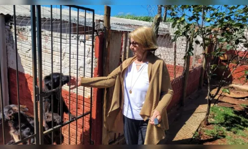 
						
							Protetores independentes cuidam de mil animais em Apucarana; assista
						
						
